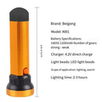 Bright Strong Light Flashlight 10w