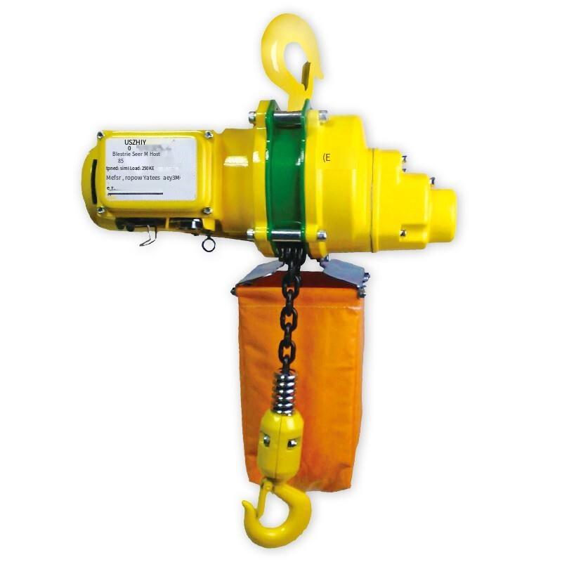 US-825 Mini 220V Portable Crane Chain Electric Hoist Lifting Appliance 250 Kg Lift 6M