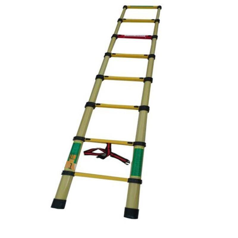 3m Fishing Rod Ladder Telescopic ladder Thickened and Double Fixed