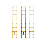 3m Glass Fiber Reinforced Plastic Telescopic Fishing Rod Ladder Bamboo Ladder Elevator Reinforced