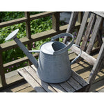 Watering Pot Gardening Iron Large Capacity Used Watering Pot Watering Pot Spraying Pot Old Zinc Old Zinc Color