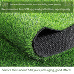 2cm Densified And Thickened Summer Simulated Lawn Mat Fake Grass Green Plant Green Artificial Plastic Turf Carpet Grass