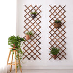 Original Sound In-situ Grid Flower Rack Indoor Living Room Wall Hanging Decoration Rack Balcony Wall Green Pineapple Plant Rack Carbonization Anti-corrosion Climbing Rattan Rack H66 Thickened 206 * 48