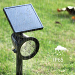 Solar Lamp Outdoor Courtyard Projection Lamp Outdoor Waterproof LED Lawn Lamp Villa Garden Lawn Seven Color Atmosphere Decorative Landscape Lamp