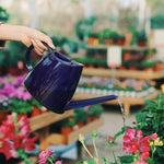 Watering Pot Household Watering Pot Gardening Fleshy Watering Pot Potted Flower Watering Artifact Long Mouth Watering Pot Transparent Green